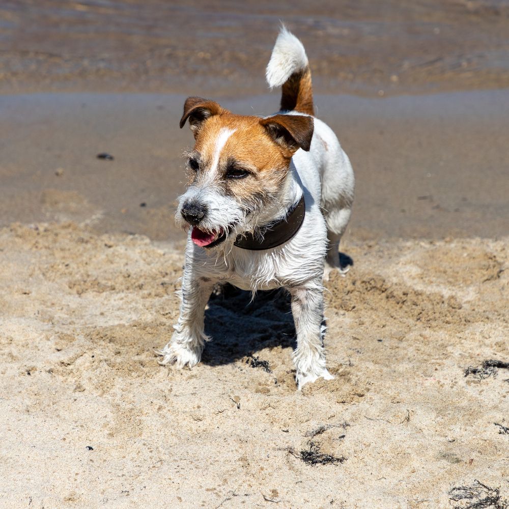 Фотография автора Валерий Бычков