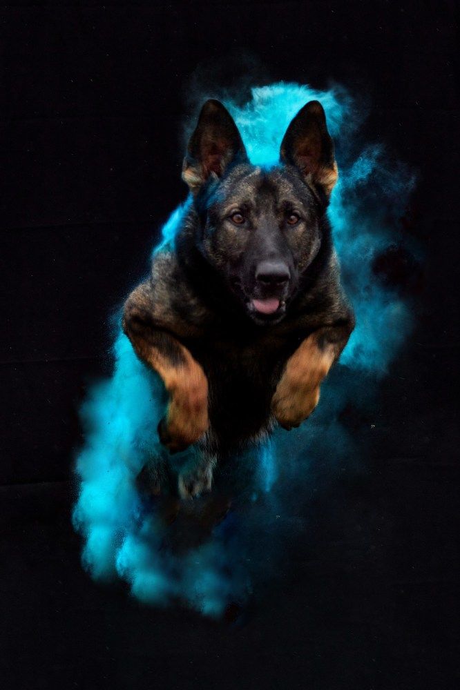 Photograph by Natalya Gracheva