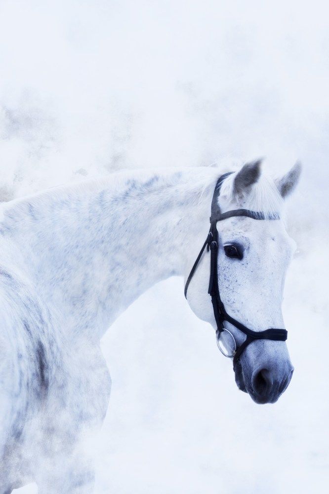 Photograph by Natalya Gracheva