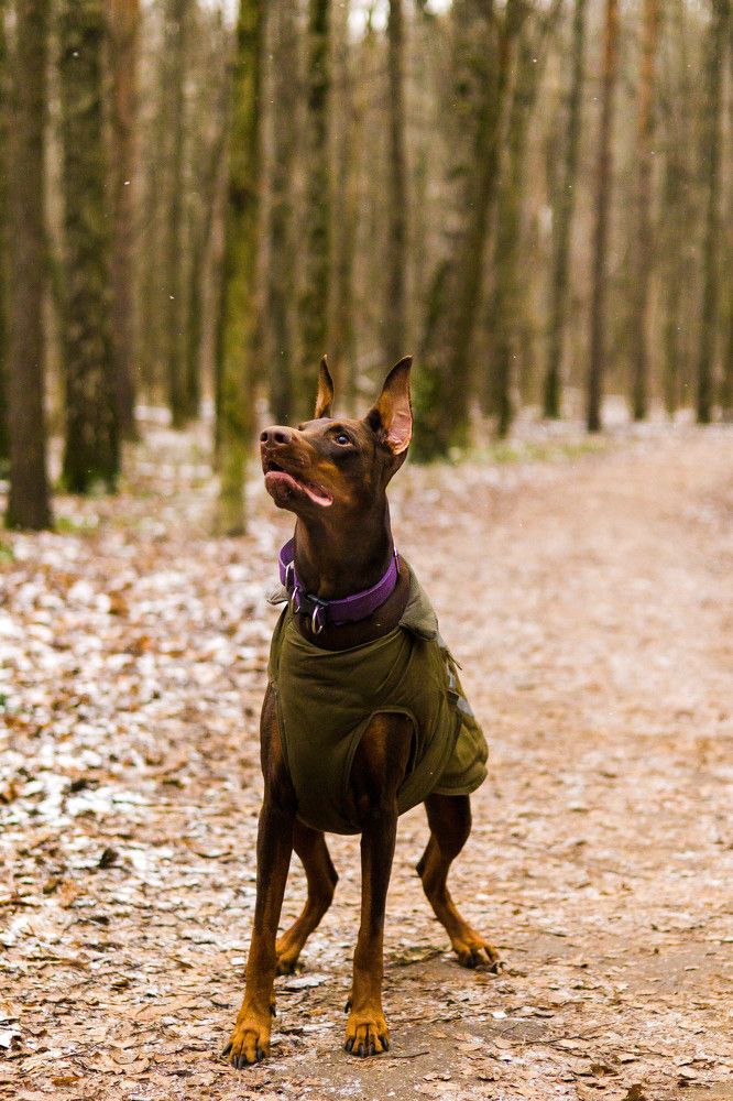 Photograph by Силушин Алексей