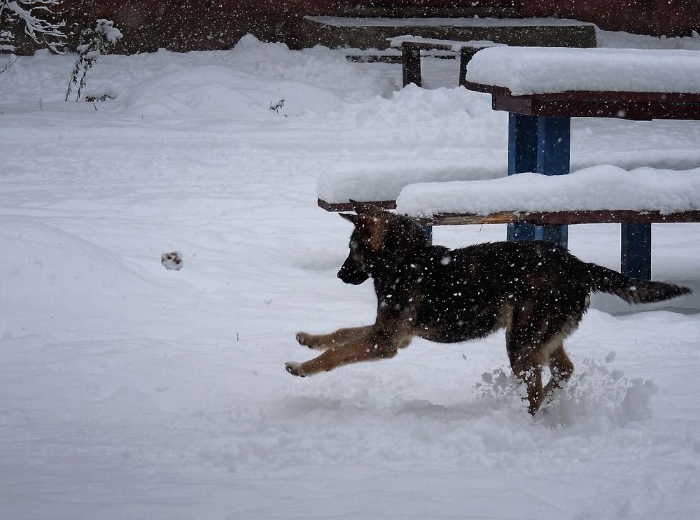 Фотография автора Роман Савоцкий
