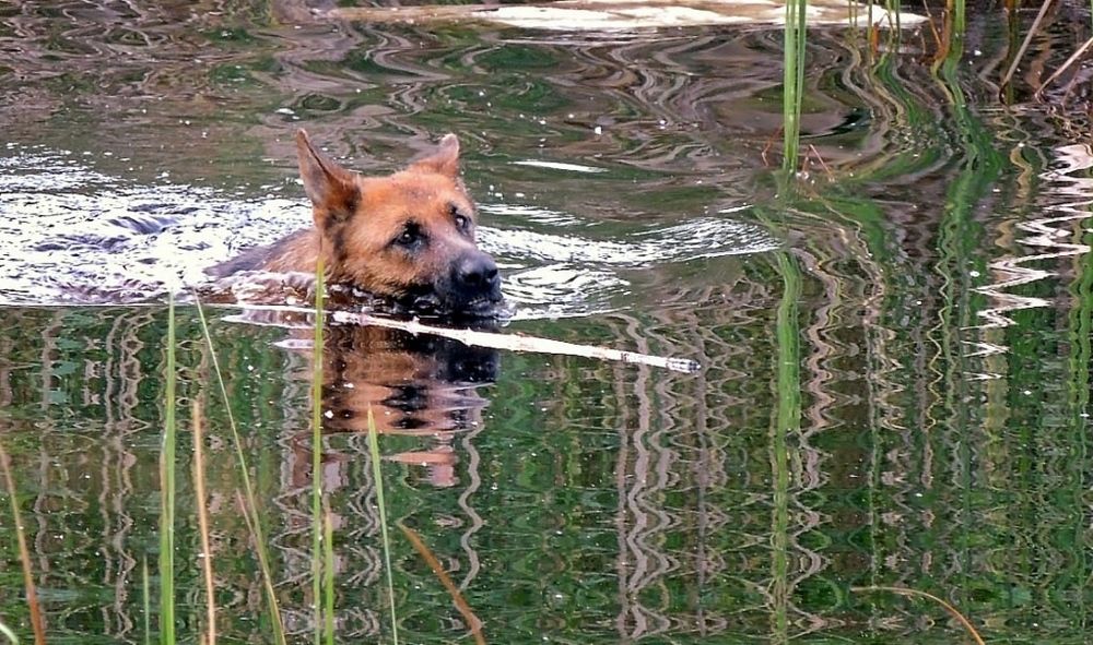 Фотография автора Роман Савоцкий