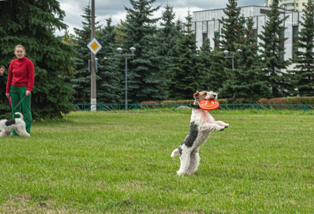 Photograph by Vladimir  Komarov