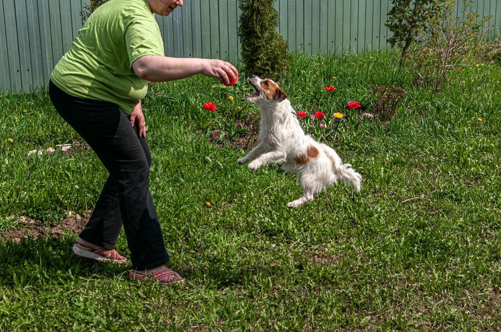 Photograph by Vladimir  Komarov
