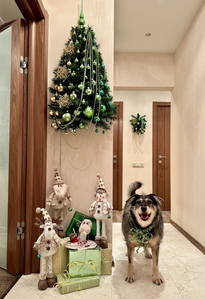 Photograph by Елена Смирнова