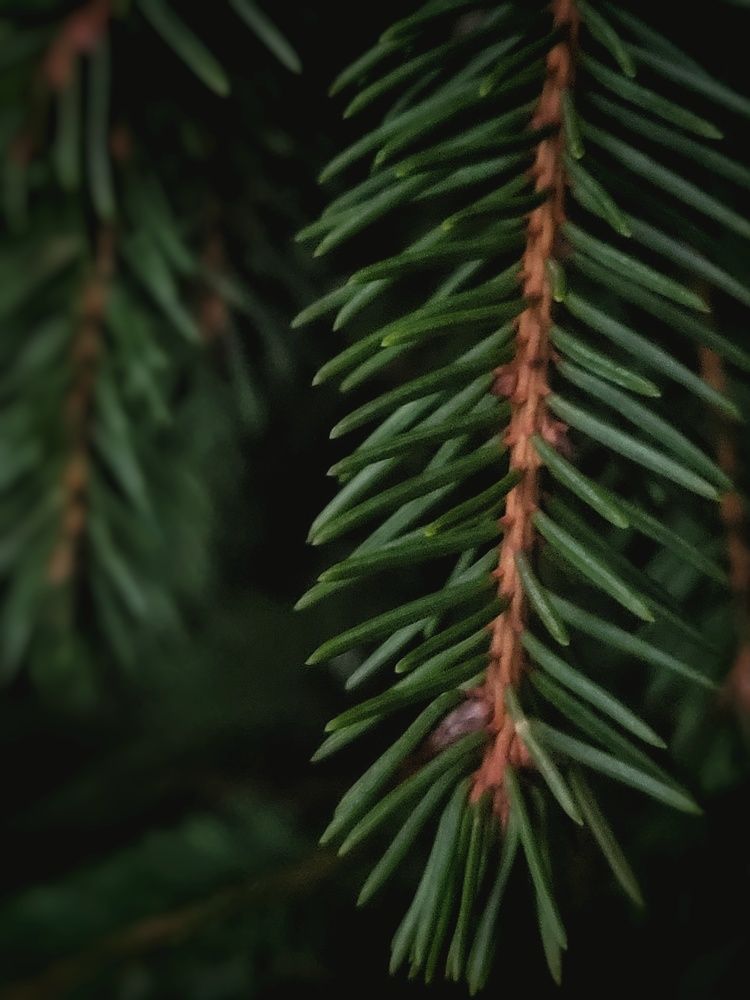 Photograph by Алина