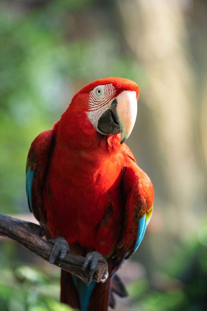 Photograph by Ni Bruce