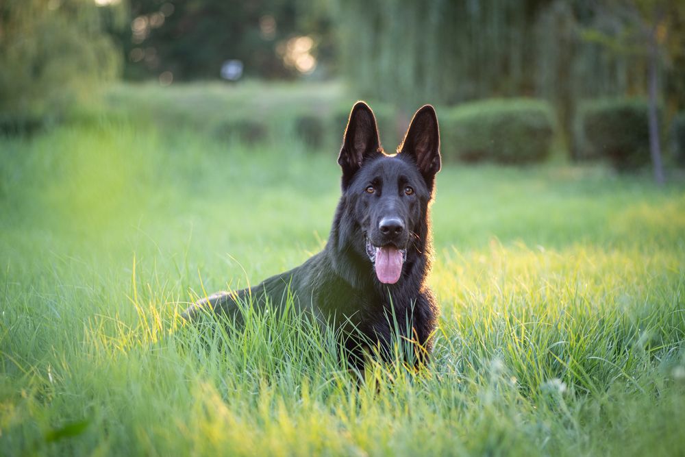 Photograph by Анна Иванова