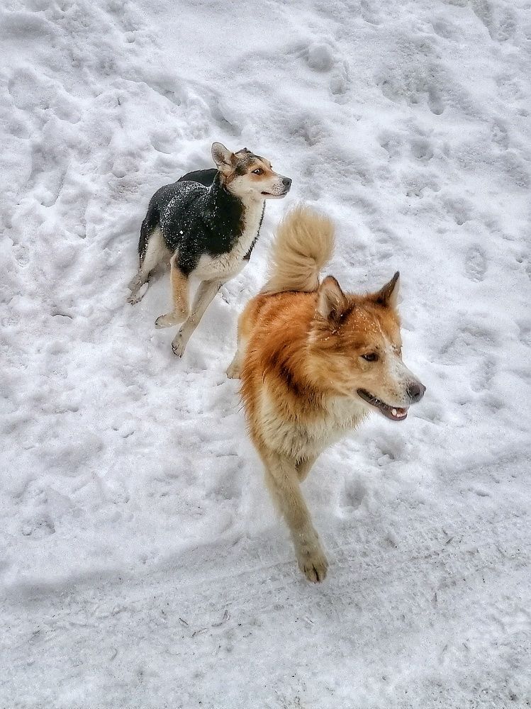 Photograph by Ирина Ермакович