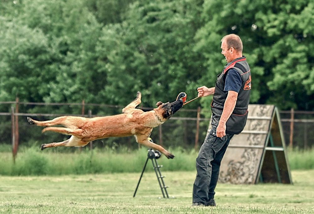 Photograph by Милана Бабченко