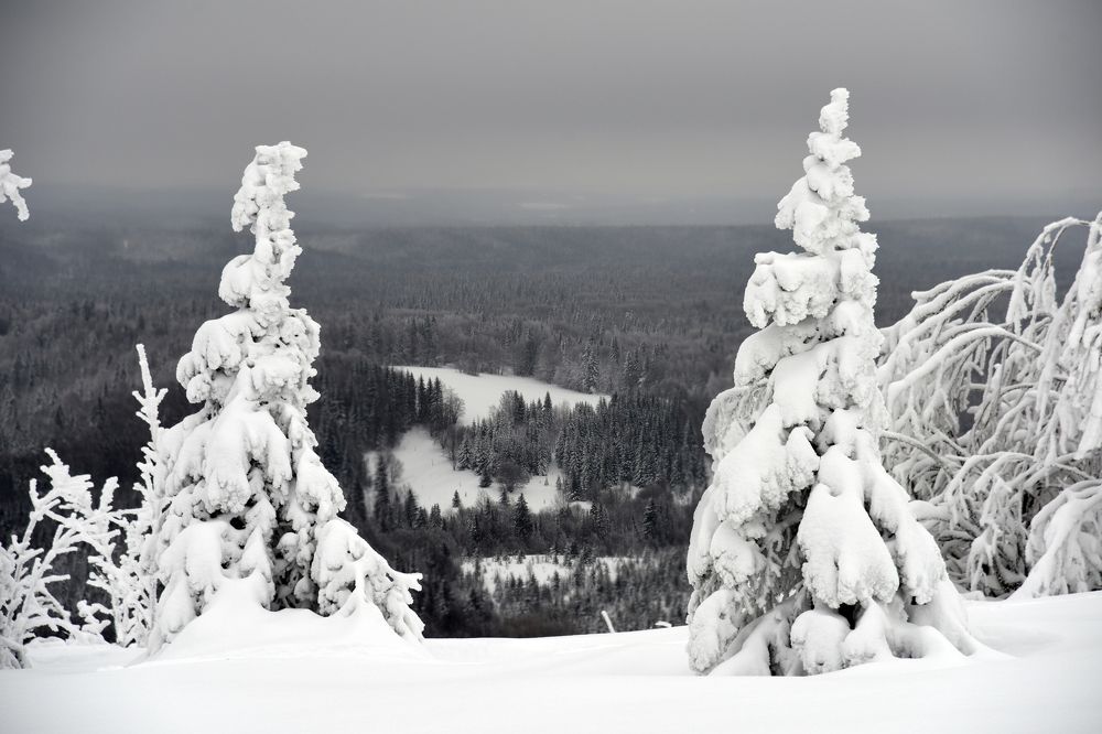 Photograph by Владислав Рубцов