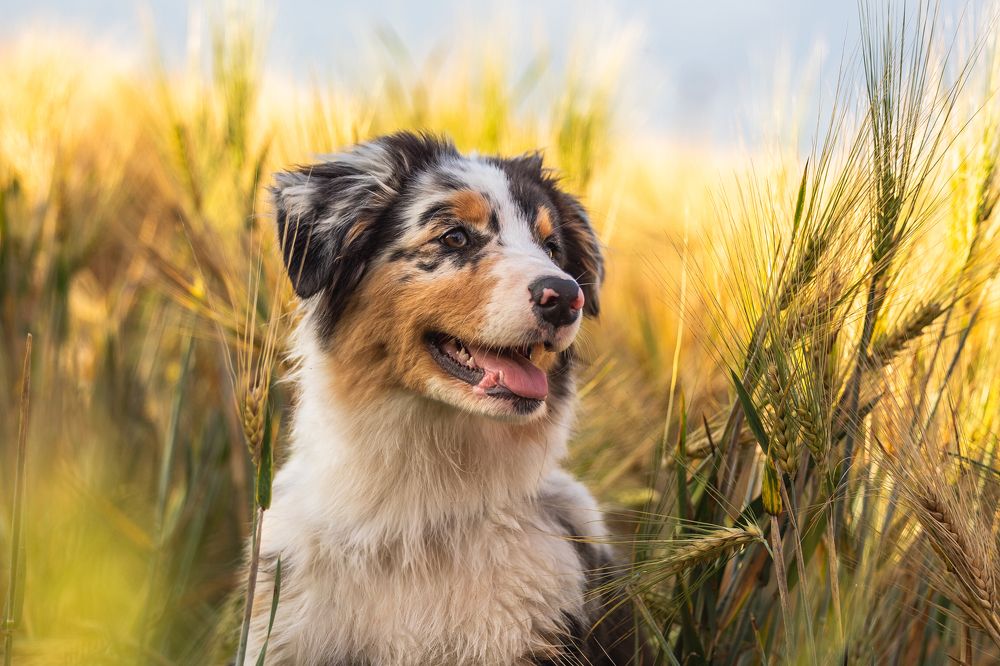 Photograph by Mariko Passel