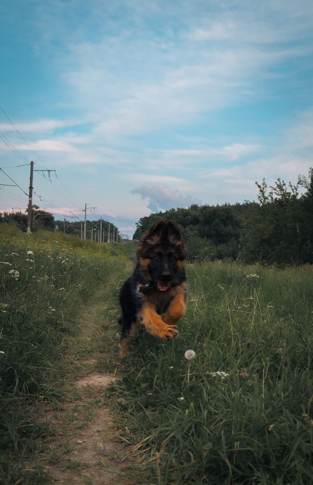 Фотография автора Геннадий Ломеко