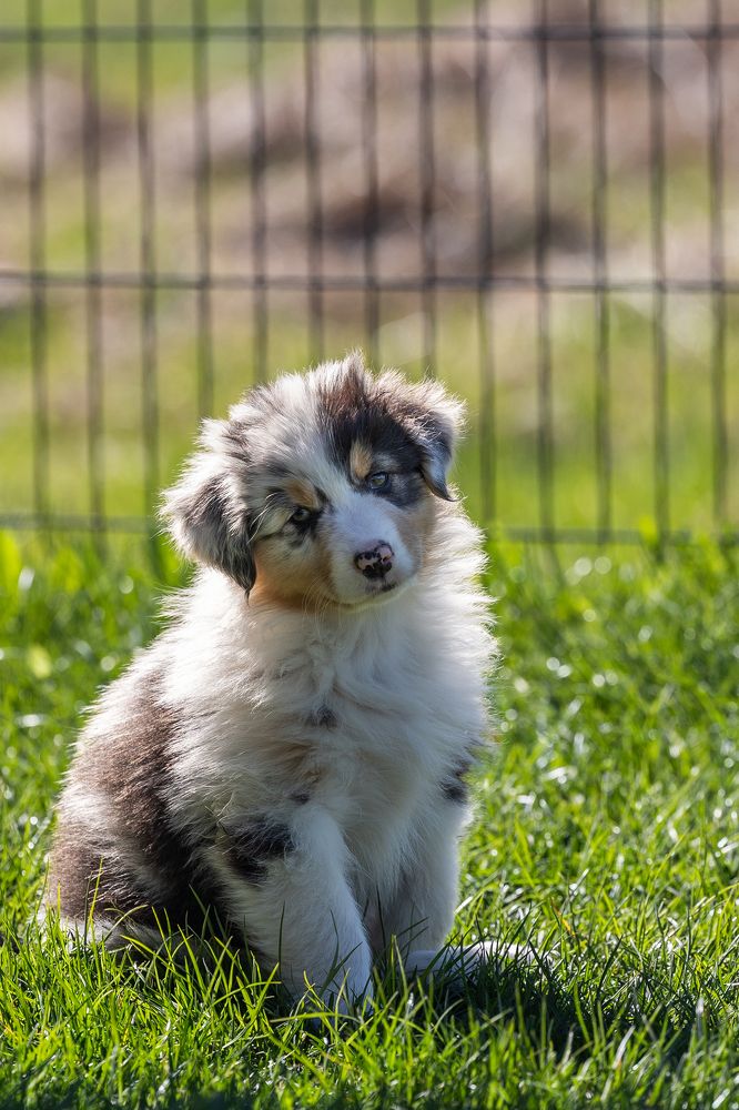 Photograph by Mariko Passel