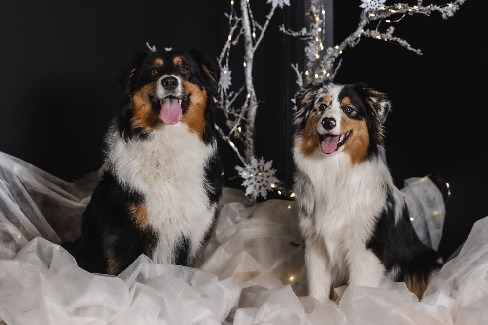 Photograph by Mariko Passel