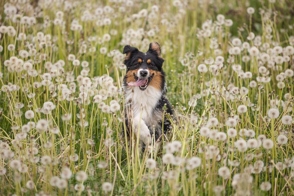 Photograph by Mariko Passel