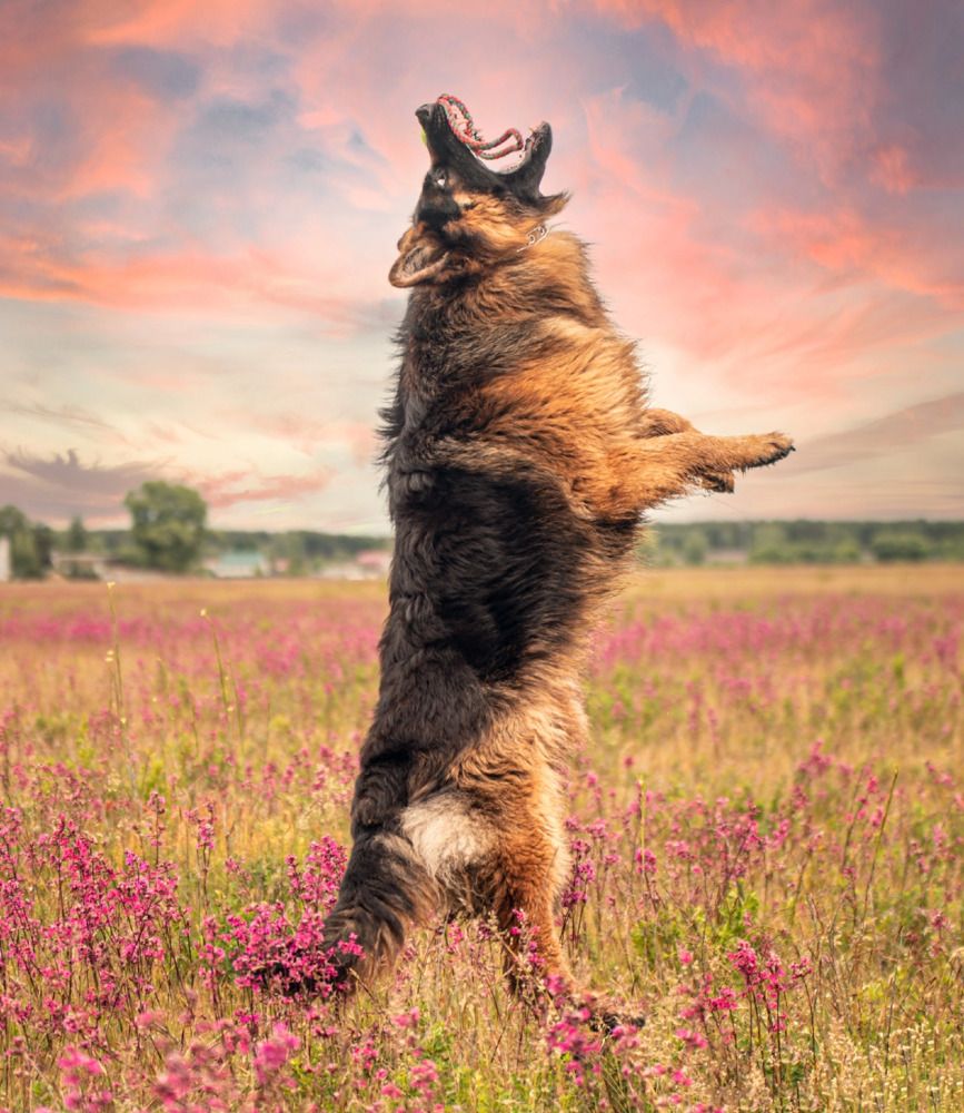 Photograph by Милана Бабченко