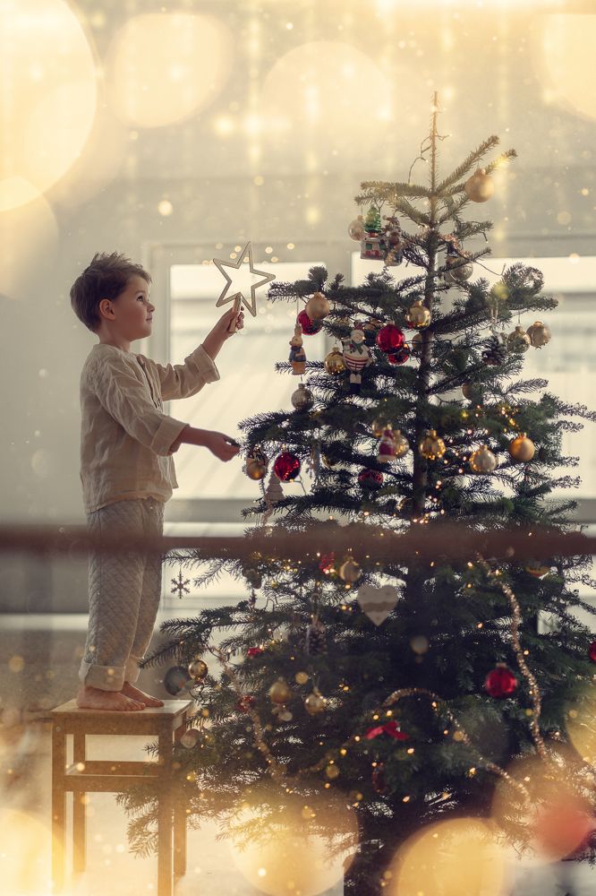 Photograph by Елена Мохонь