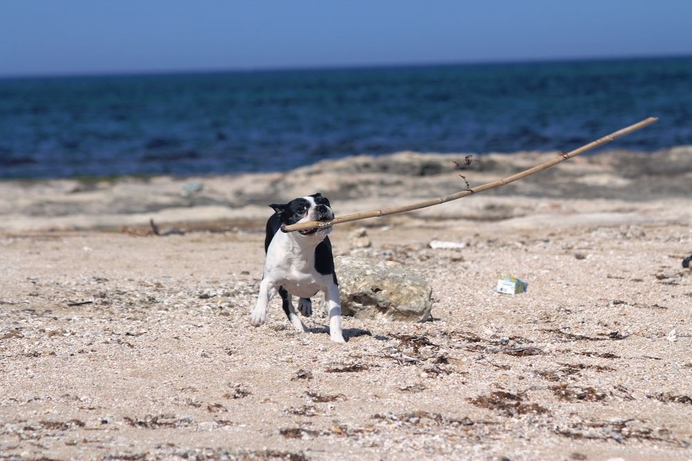 Photograph by Nadzeya