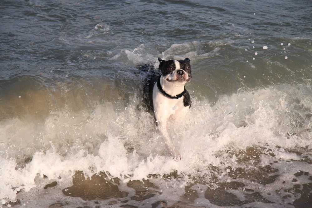 Photograph by Nadzeya