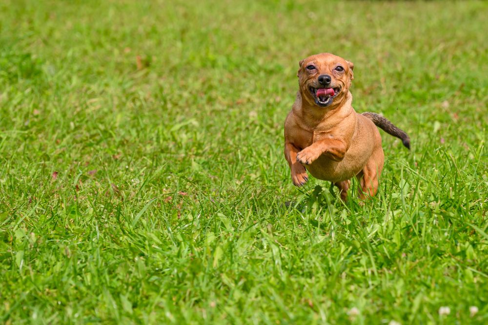 Photograph by Николай Рахматулин