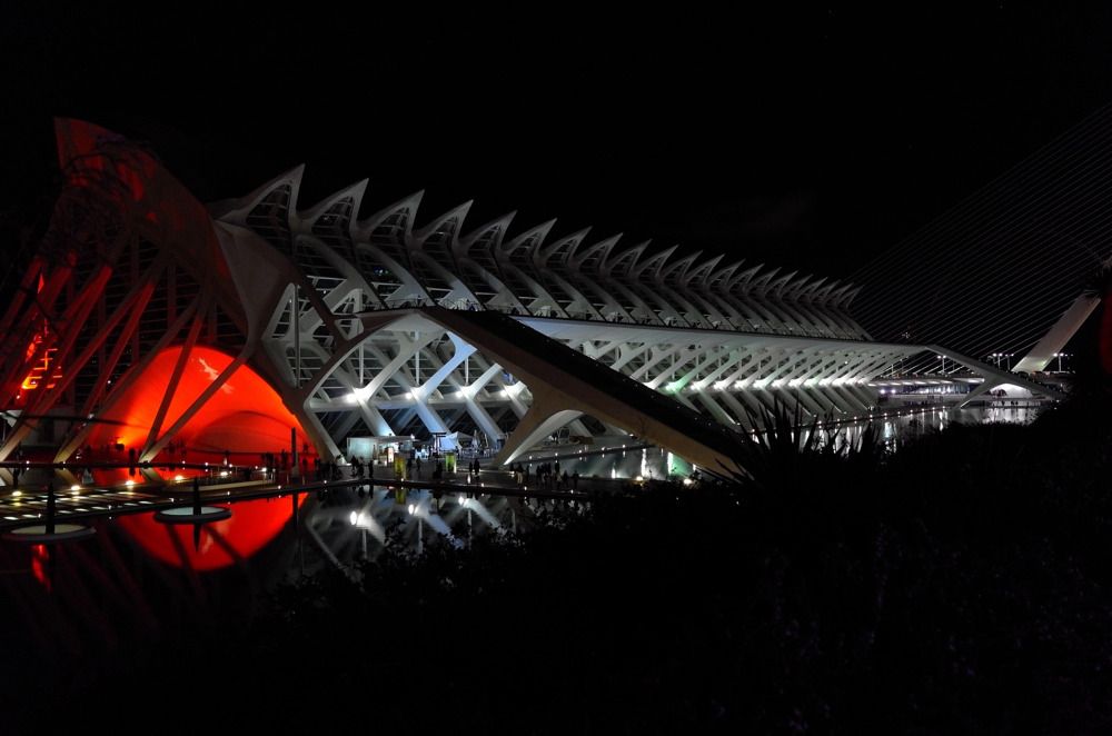 Photograph by Анастасия Голубева