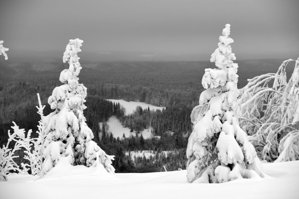 Вид с Белой горы. Пермский край.