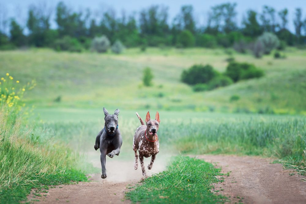 Photograph by Олег Гаричкин