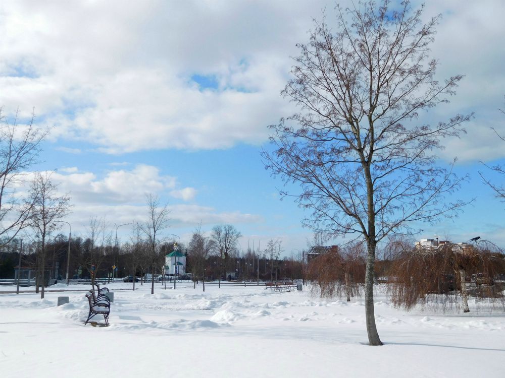 Photograph by Маша Худякова