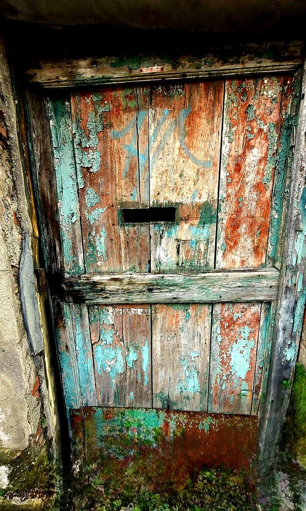 Photograph by claudia