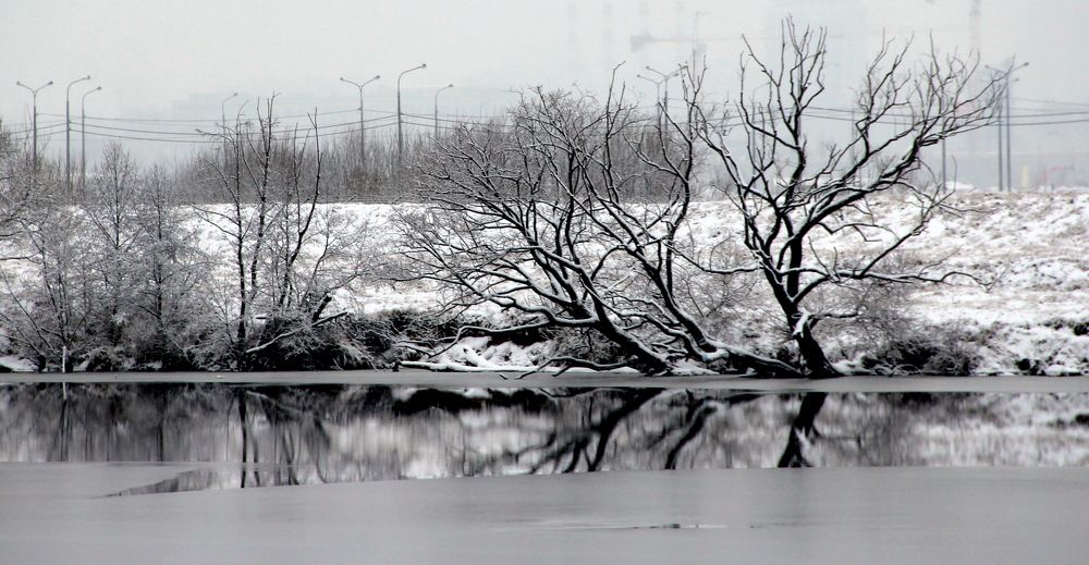 Photograph by Жанна Нечаева