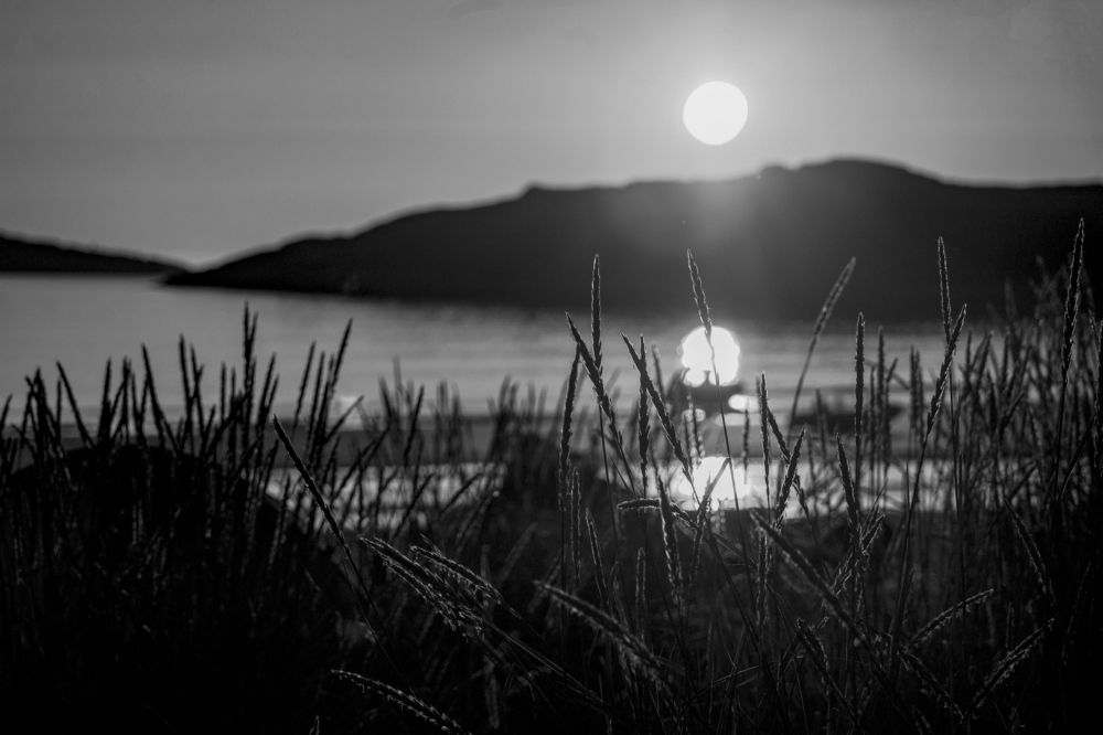 Photograph by Александр Селезнев