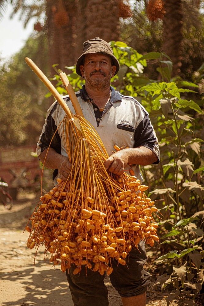 Фотография автора Mohamed Safwat