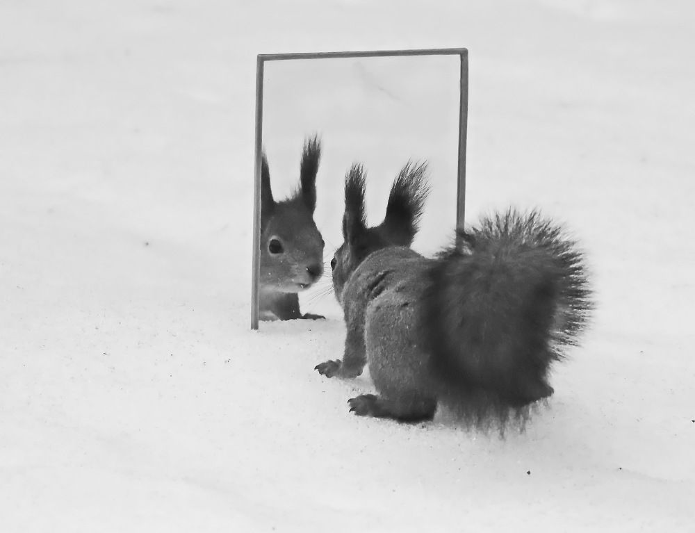 Photograph by Сергей Маслов