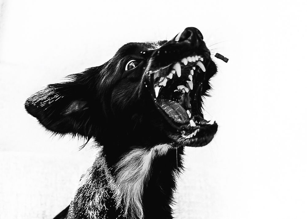 Photograph by Eva Daučíková