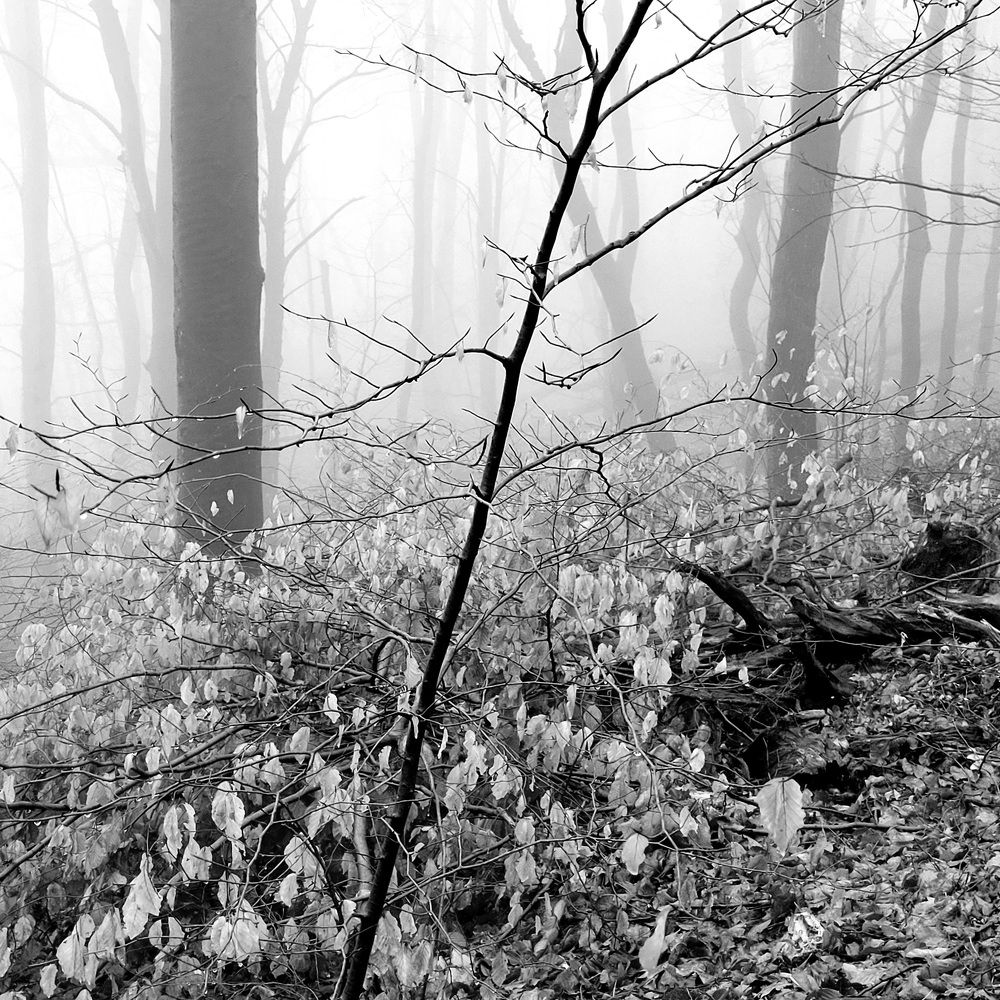 Photograph by Catherine Walter-Prêtre