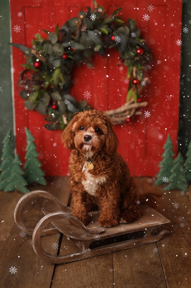 Photograph by Светлана Столярова