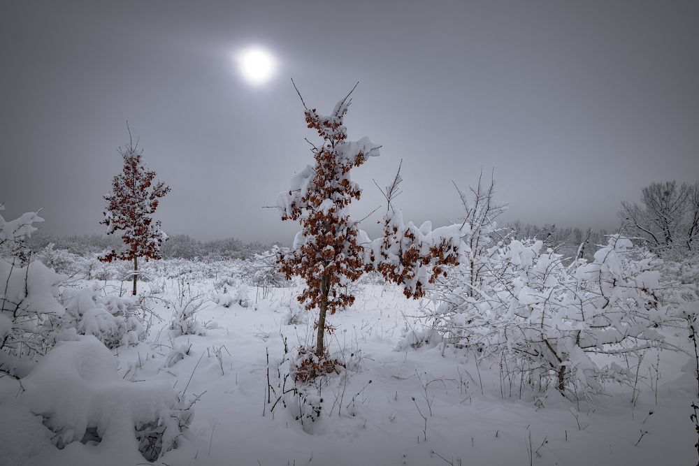 Photograph by Алексей Мякота