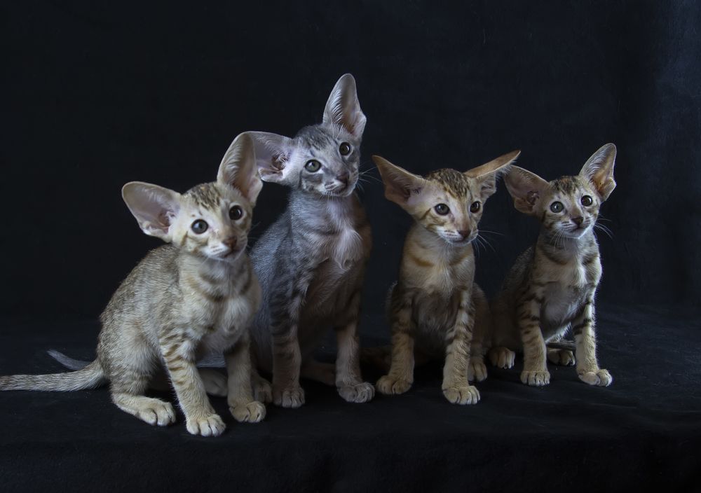 Photograph by Татьяна Феденкова