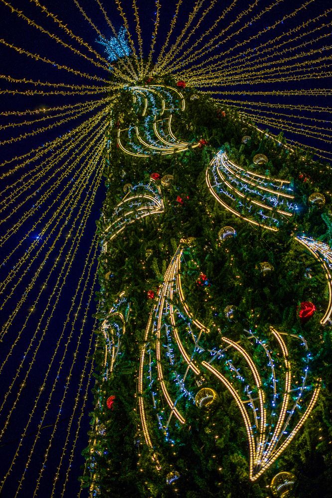 Photograph by Anastasia Astakhova