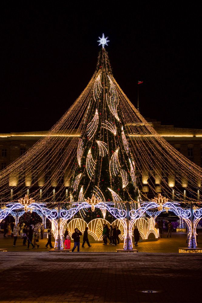 Photograph by Anastasia Astakhova