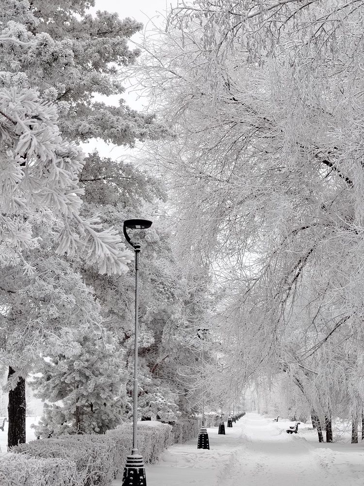 Photograph by Ольга Мокрова