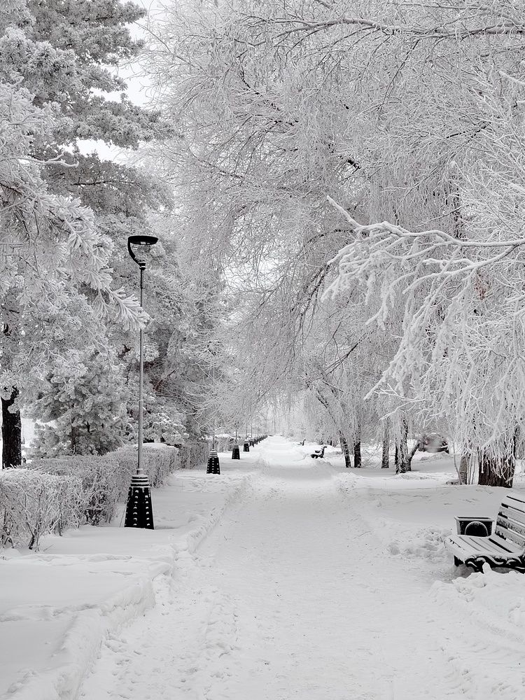 Photograph by Ольга Мокрова