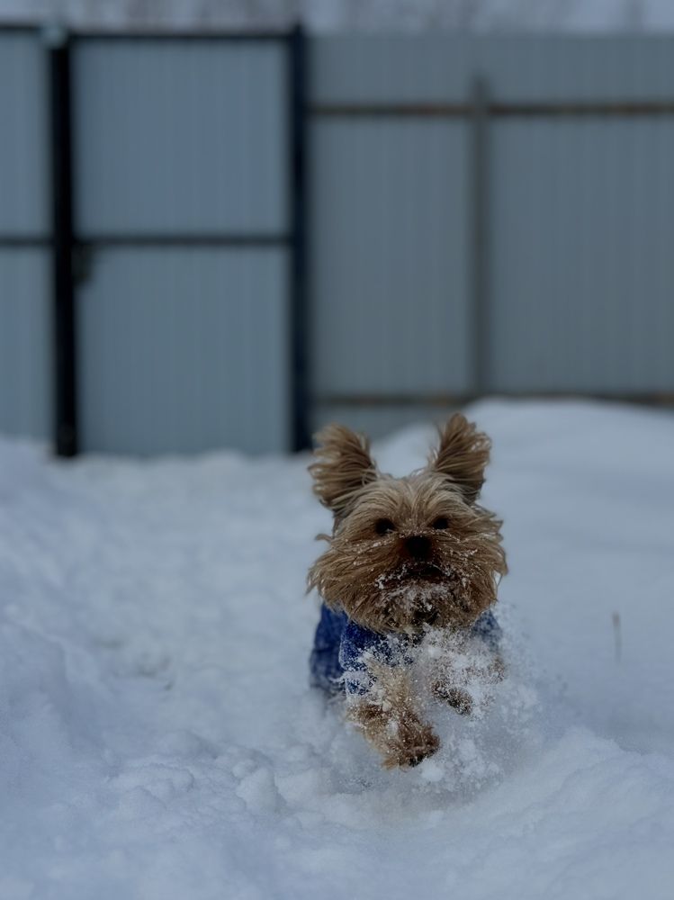 Photograph by Марина Федотова