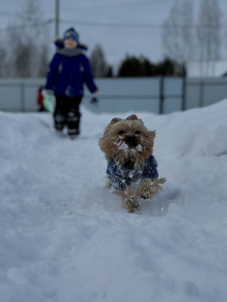 Photograph by Марина Федотова