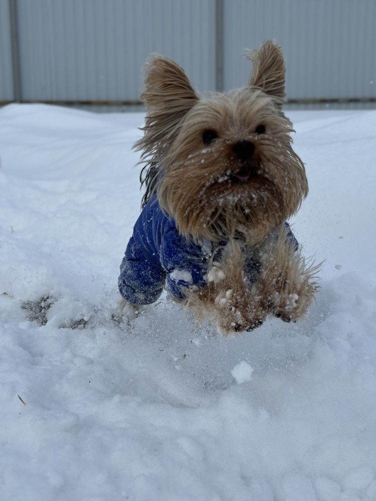Photograph by Марина Федотова