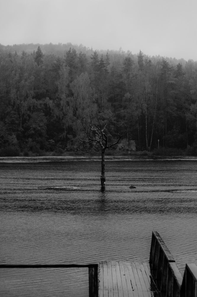 Photograph by Ксения Исаева