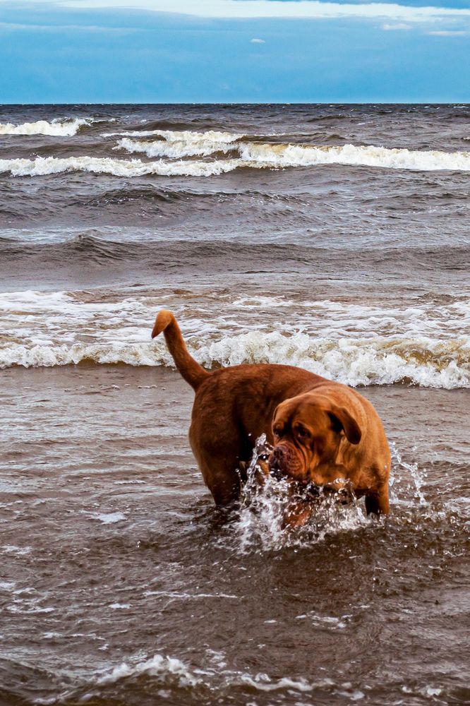 Игра с водой