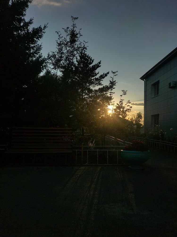 Photo #11573239