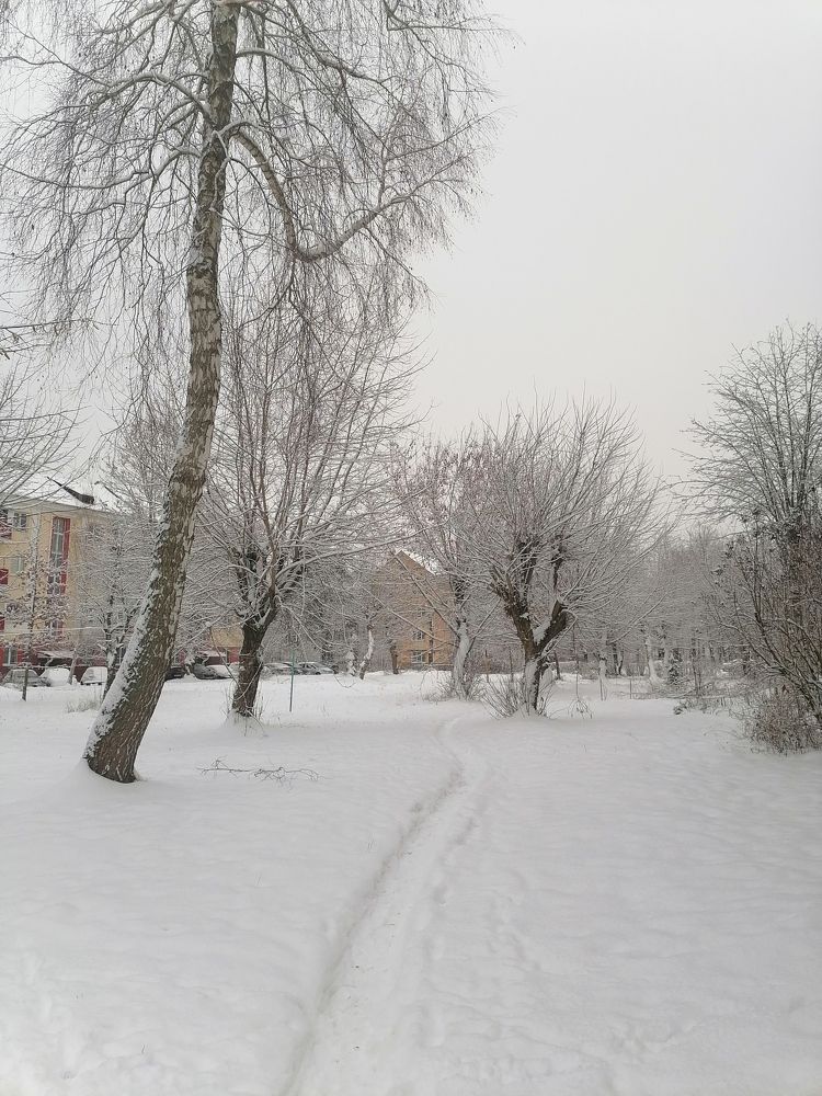 Фотография автора Ольга